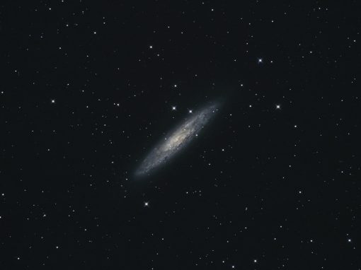 Sculptor Galaxy NGC253